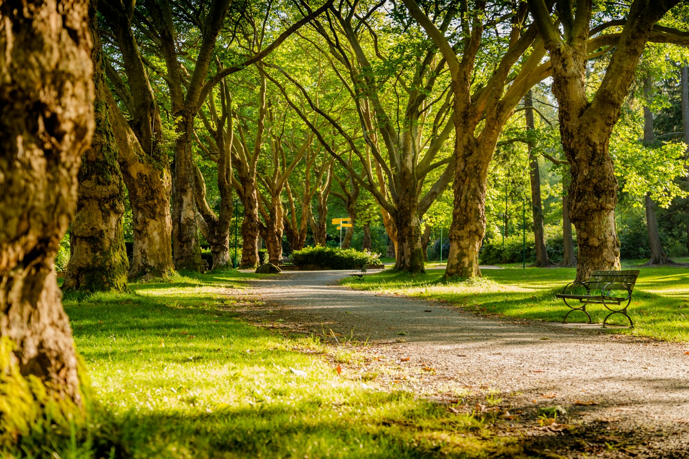 Une promenade au parc